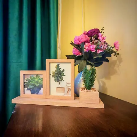 Belluccina 公寓 布加勒斯特