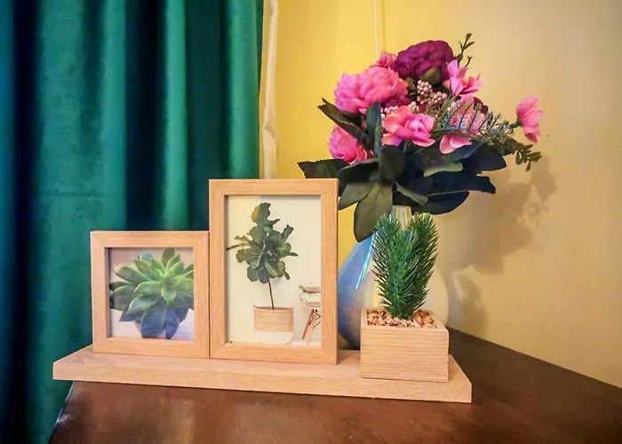 Belluccina Apartament Bucureşti