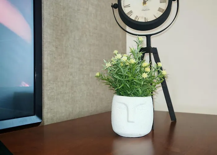 Belluccina Bucureşti